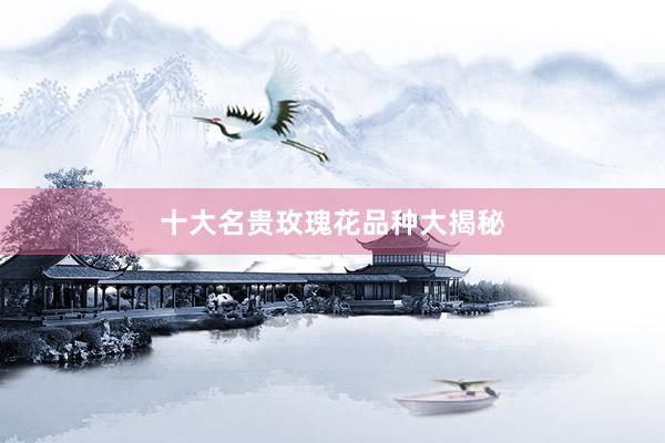 十大名贵玫瑰花品种大揭秘